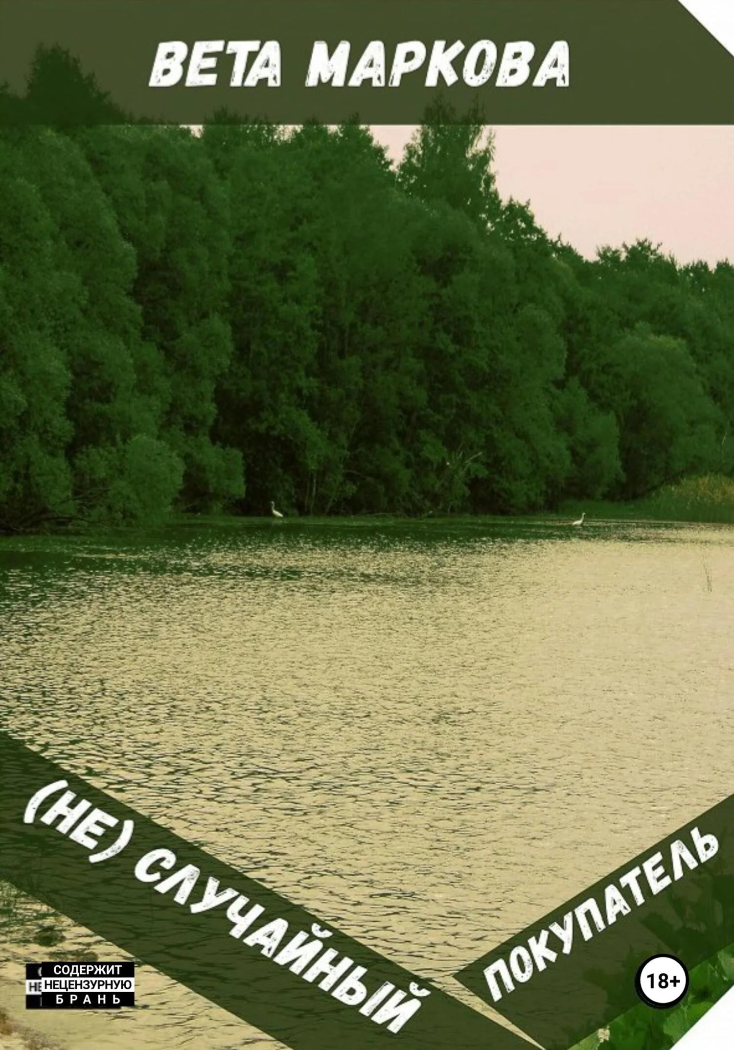 Обложка (Не) Случайный покупатель