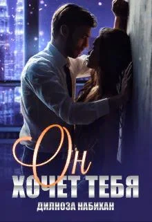 Обложка Он хочет тебя