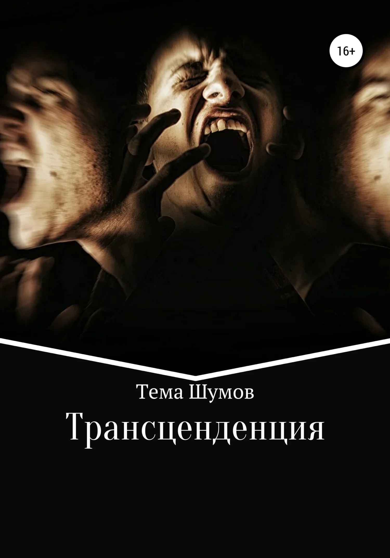 Обложка Трансценденция