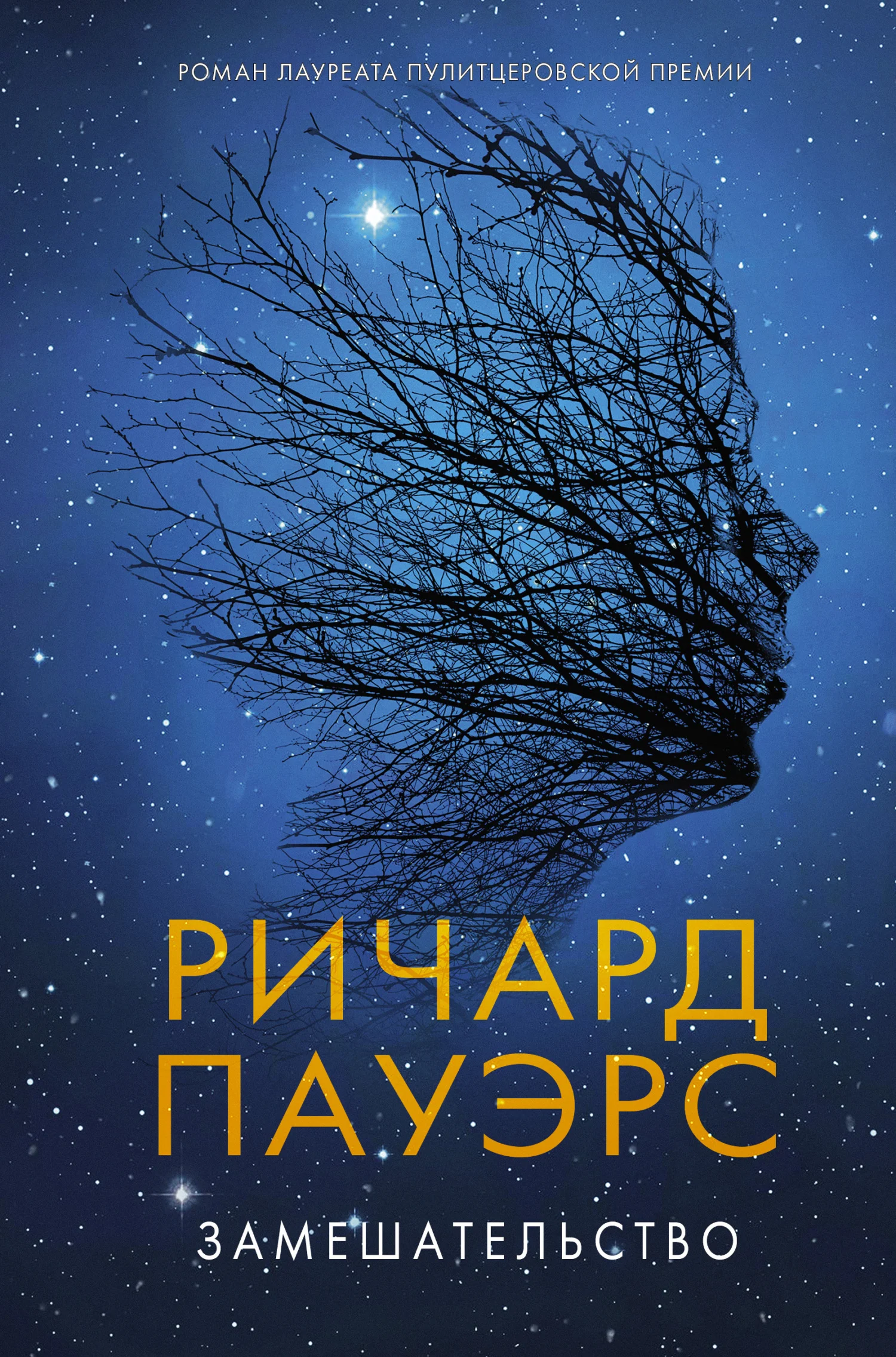 Обложка Замешательство