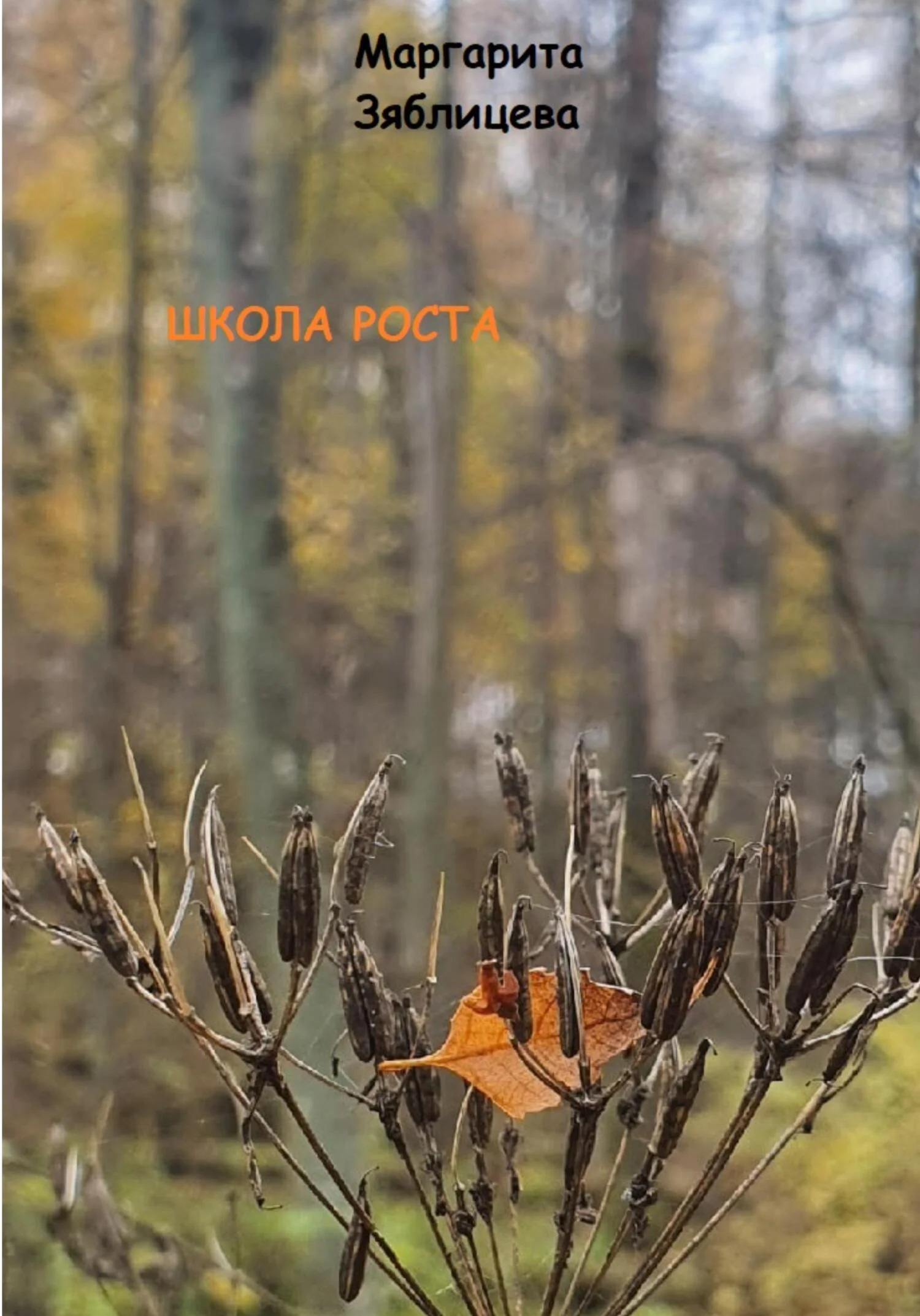 Обложка Школа роста