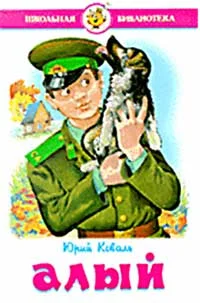 Обложка Козырек