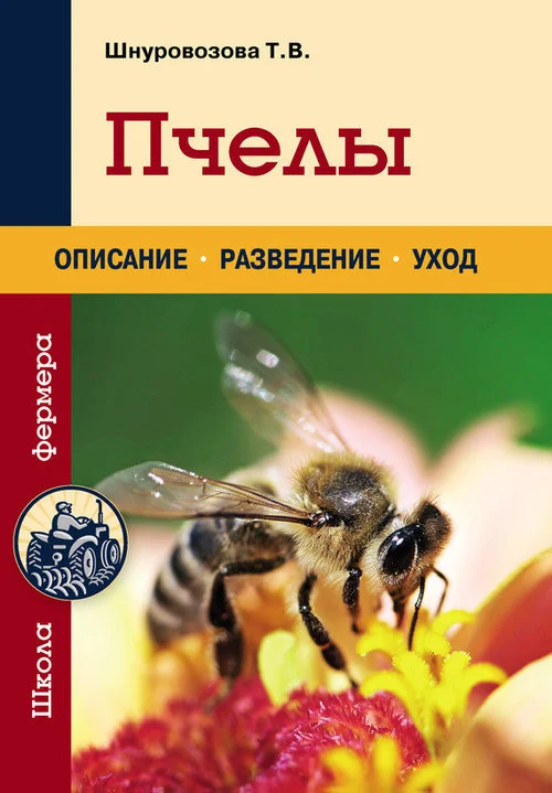 Обложка Пчелы