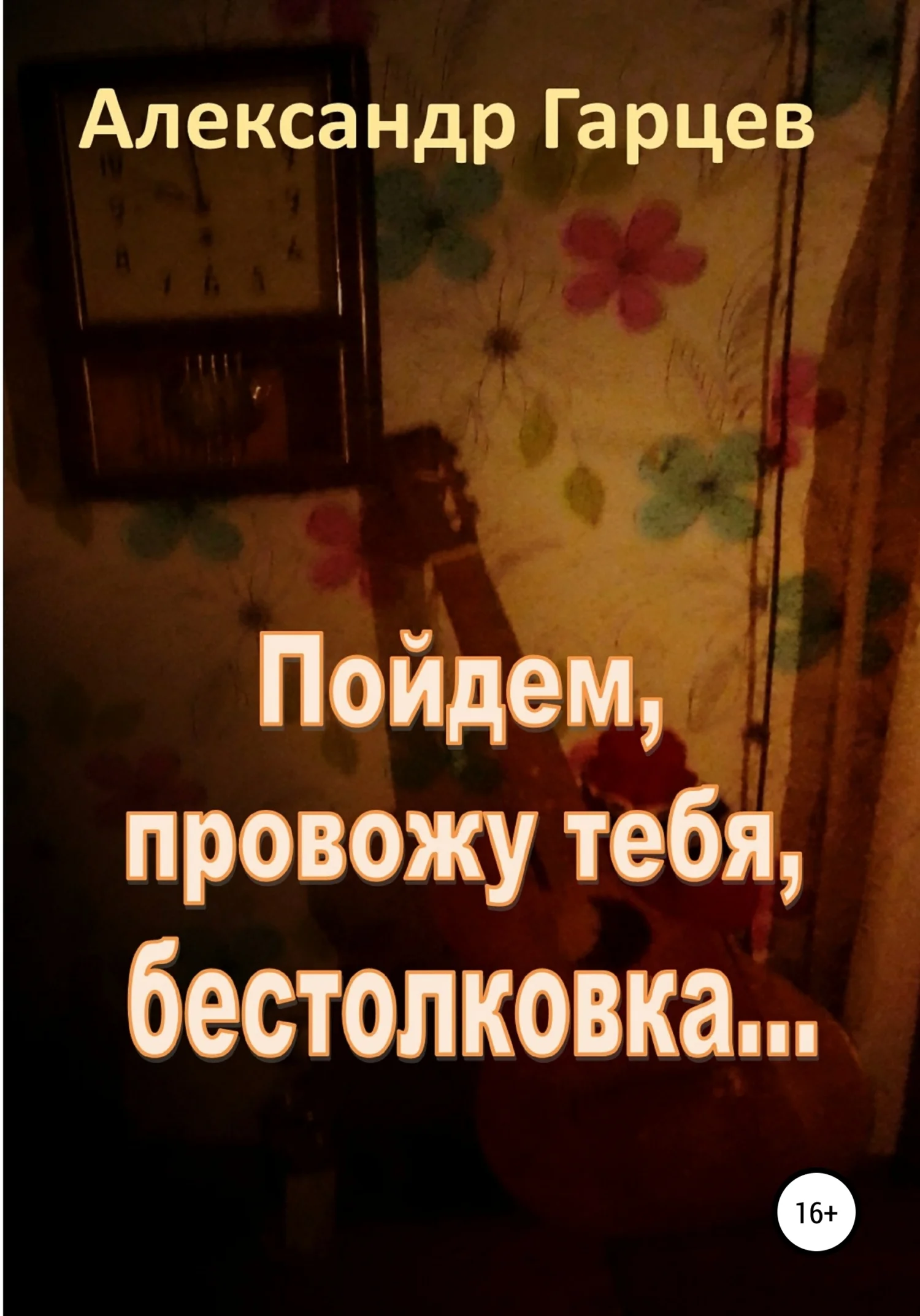 Обложка Пойдем провожу тебя, бестолковка