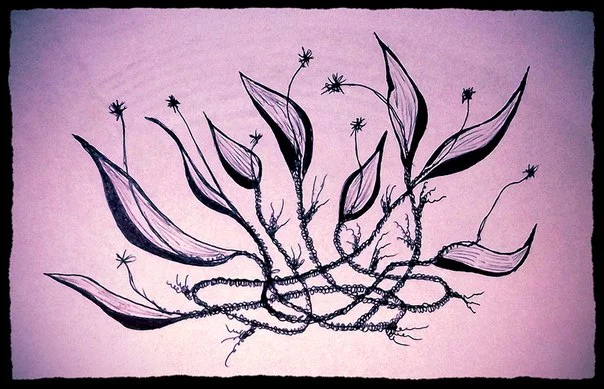 Обложка Сказка о Лунных Цветах