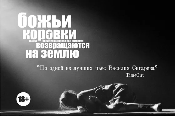 Обложка Божьи коровки возвращаются на землю