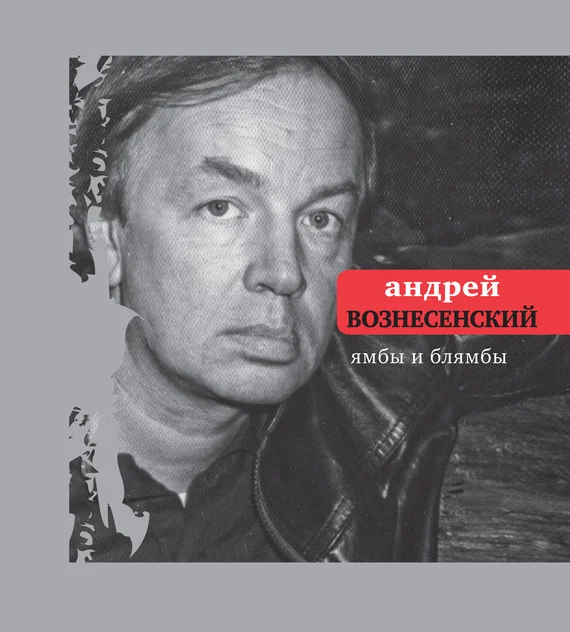 Обложка Ямбы и блямбы