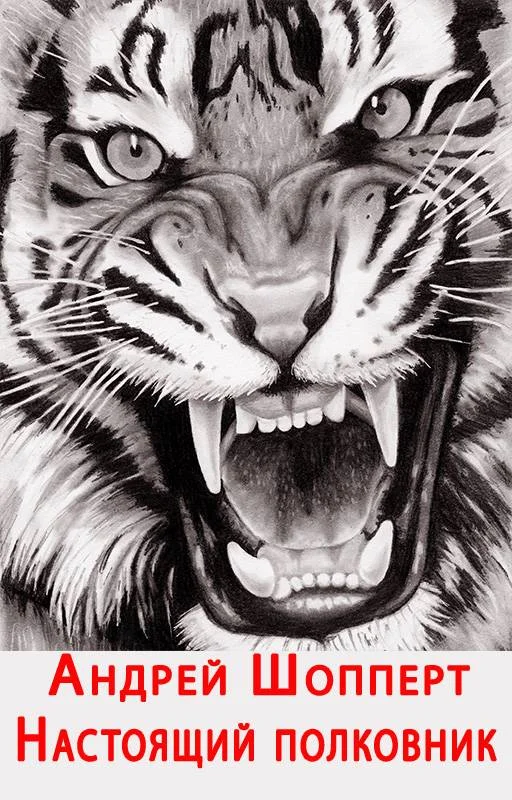 Обложка Настоящий полковник