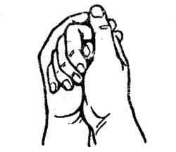 Обложка Мудры - йога пальцев