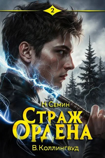 Обложка Страж Ордена 2
