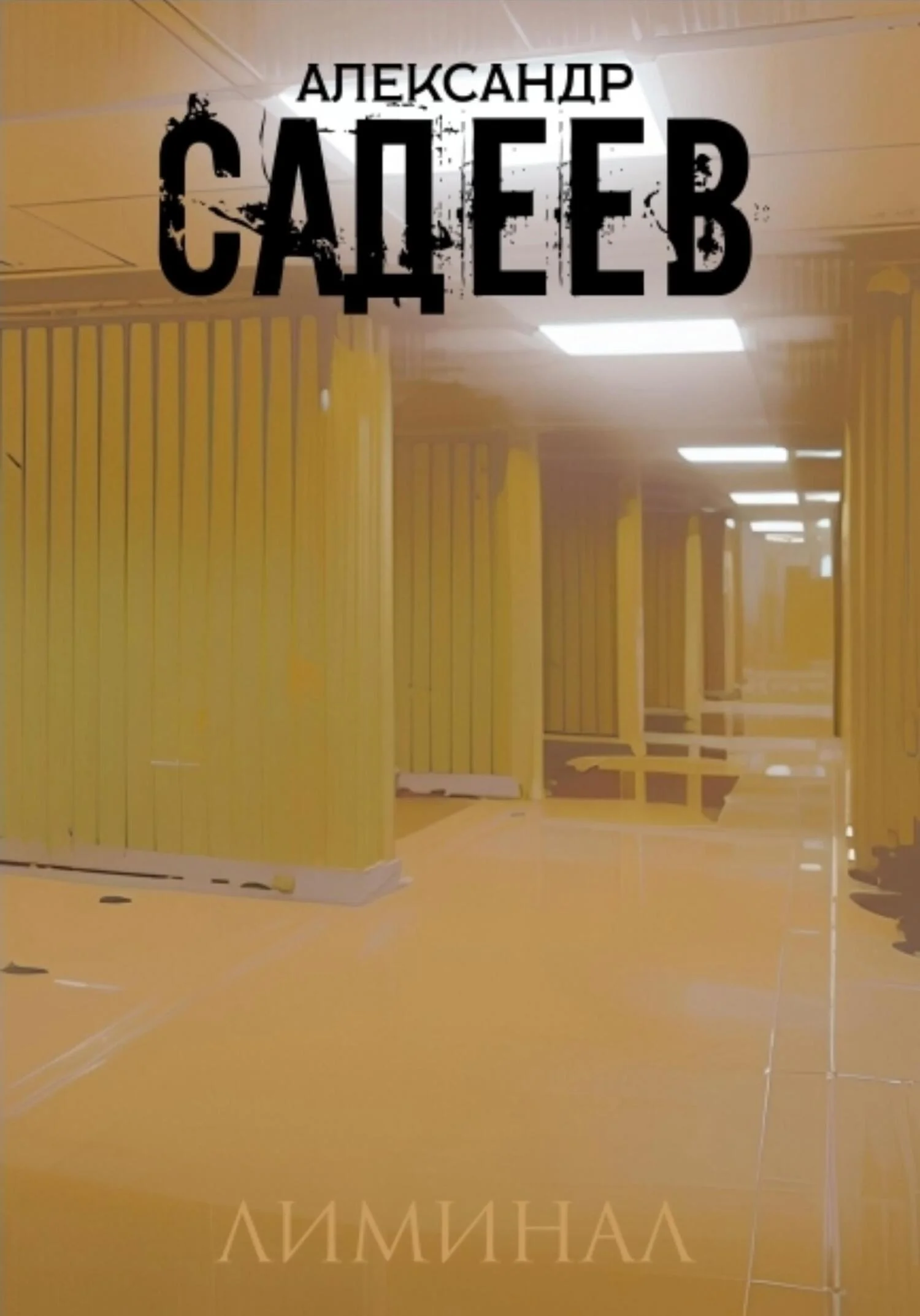 Обложка Лиминал