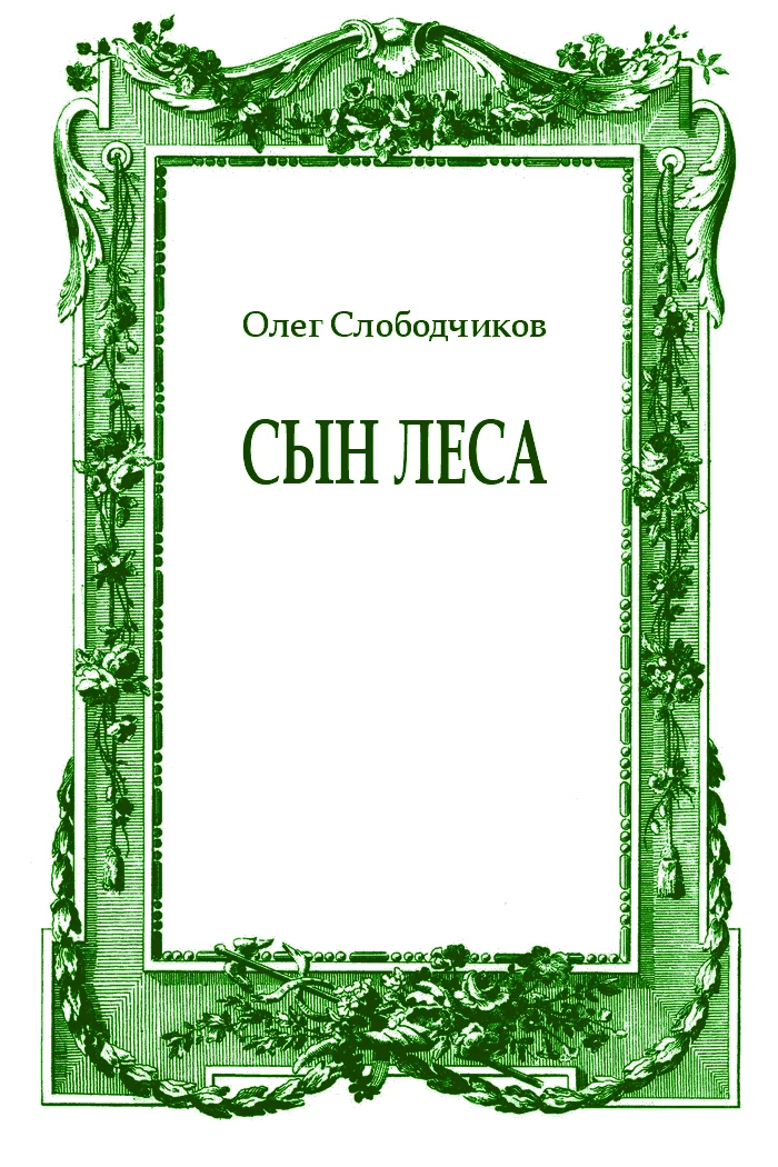 Обложка Сын леса