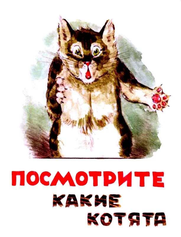 Обложка Посмотрите, какие котята!