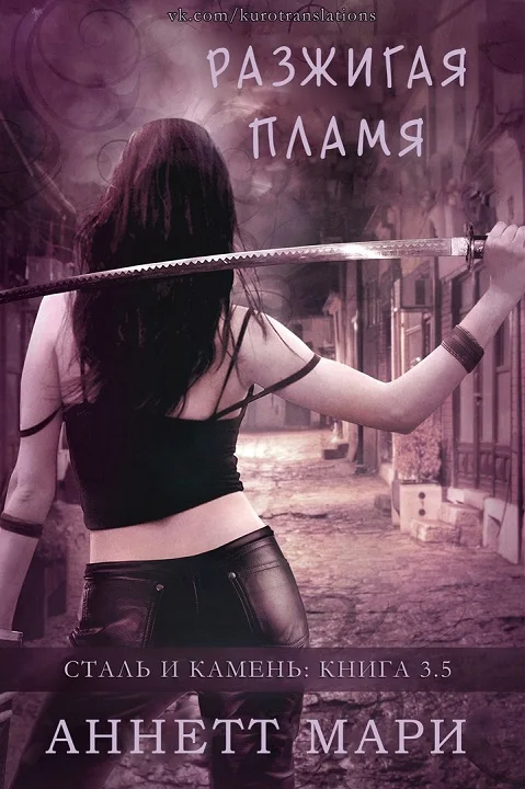 Обложка Разжигая пламя