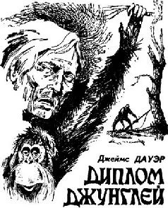 Обложка Диплом джунглей