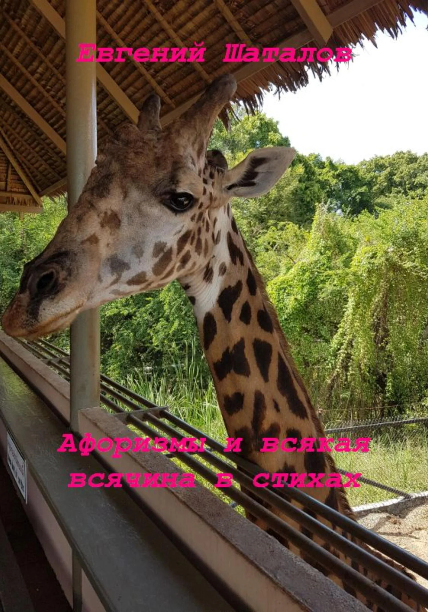 Обложка Афоризмы и всякая всячина в стихах