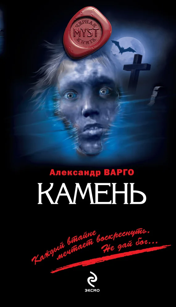 Обложка Камень