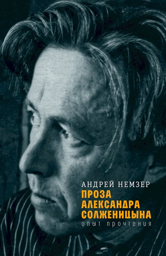 Обложка Проза Александра Солженицына. Опыт прочтения