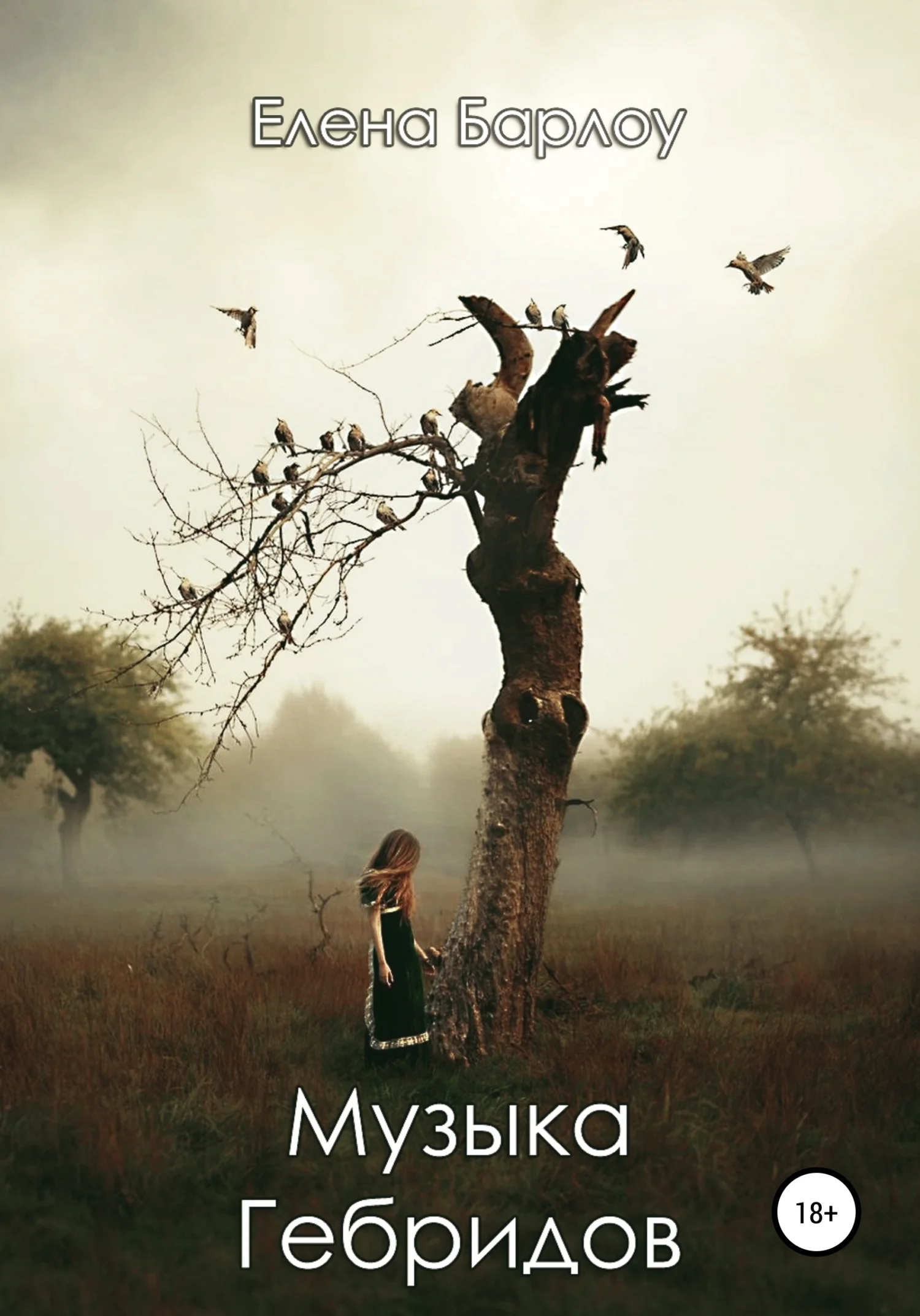 Обложка Музыка Гебридов