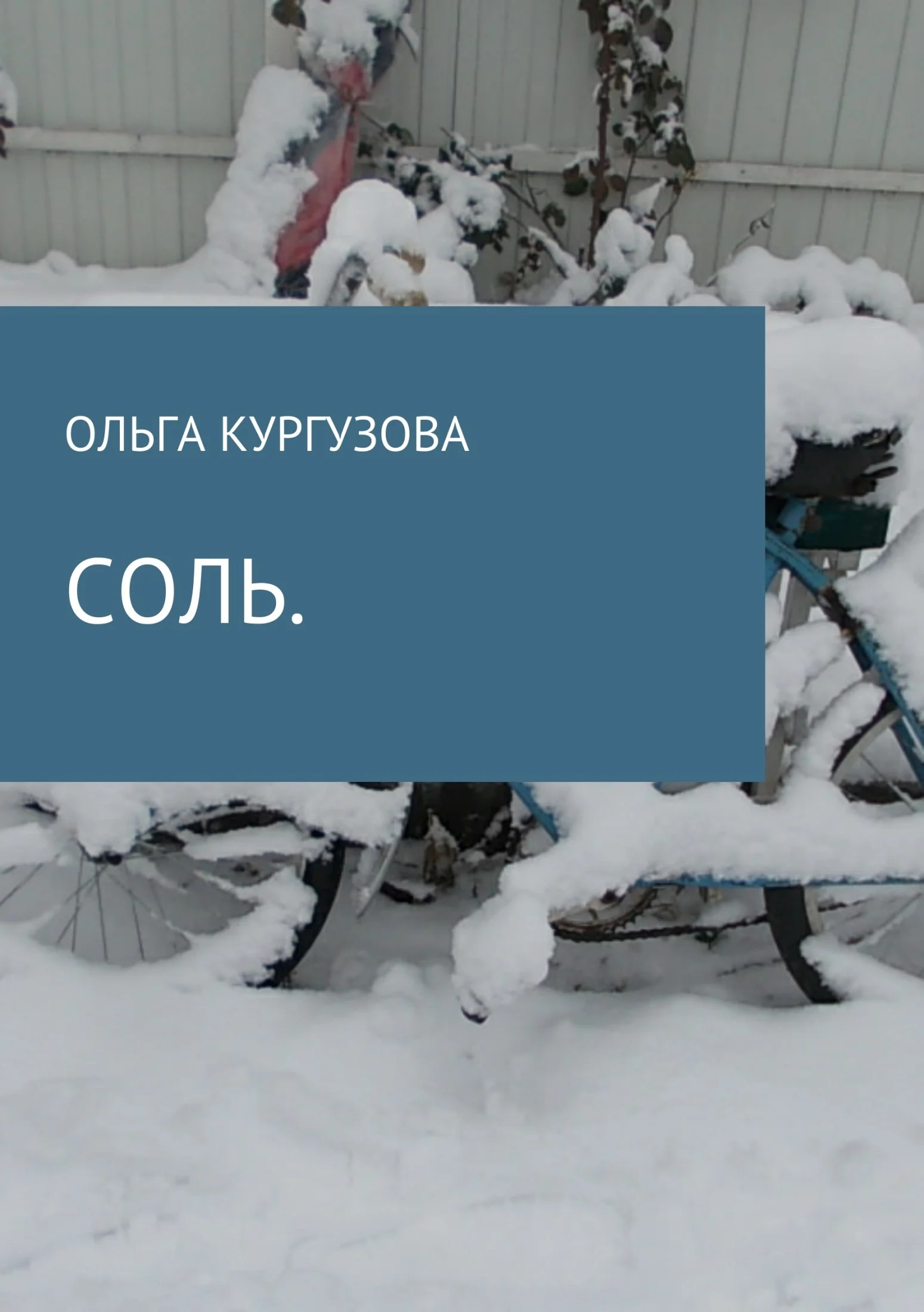 Обложка Соль