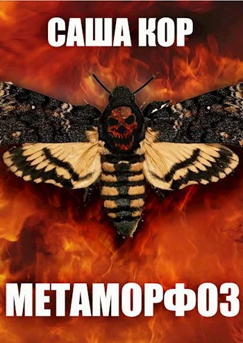 Обложка Метаморфоз