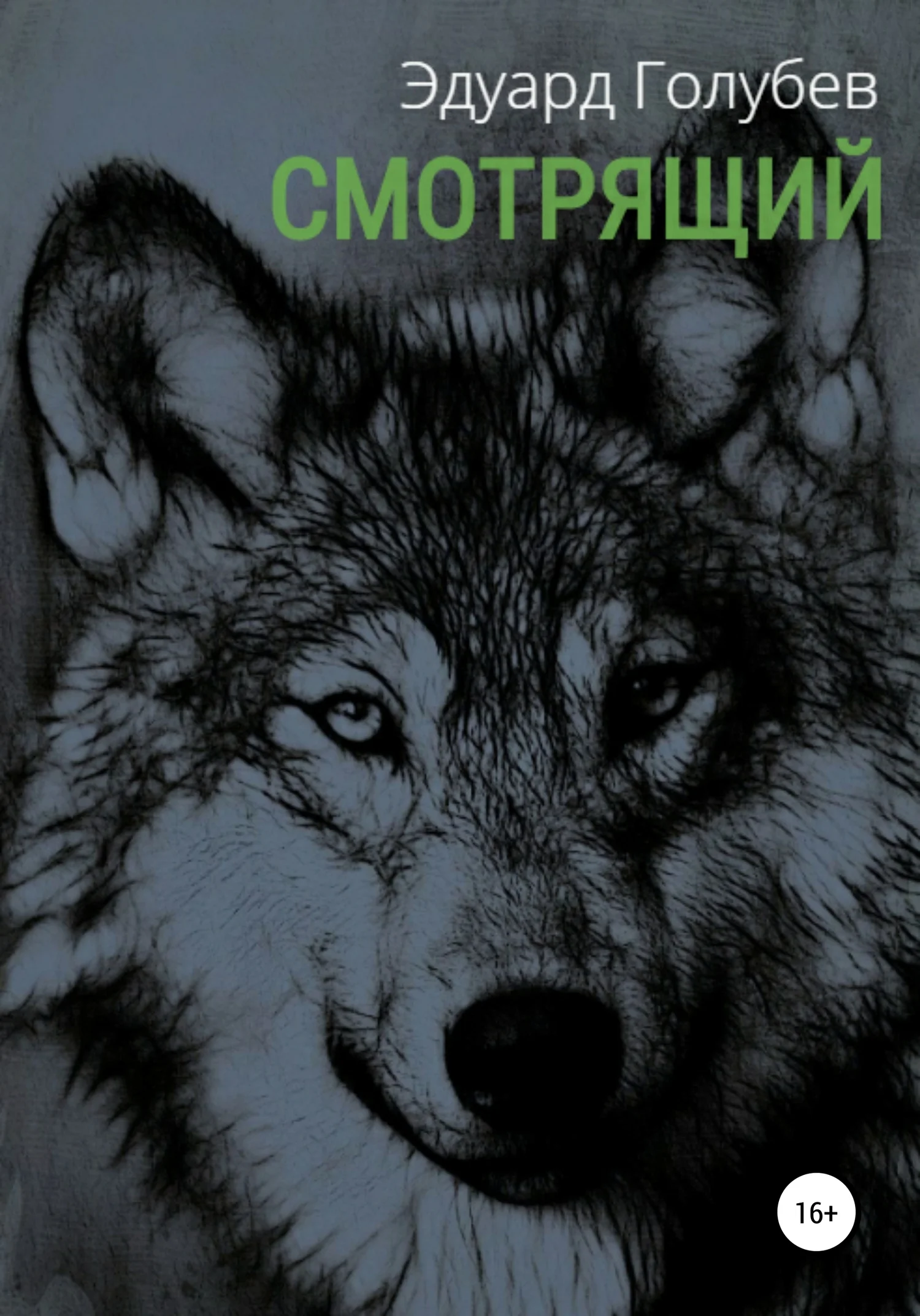 Обложка Смотрящий