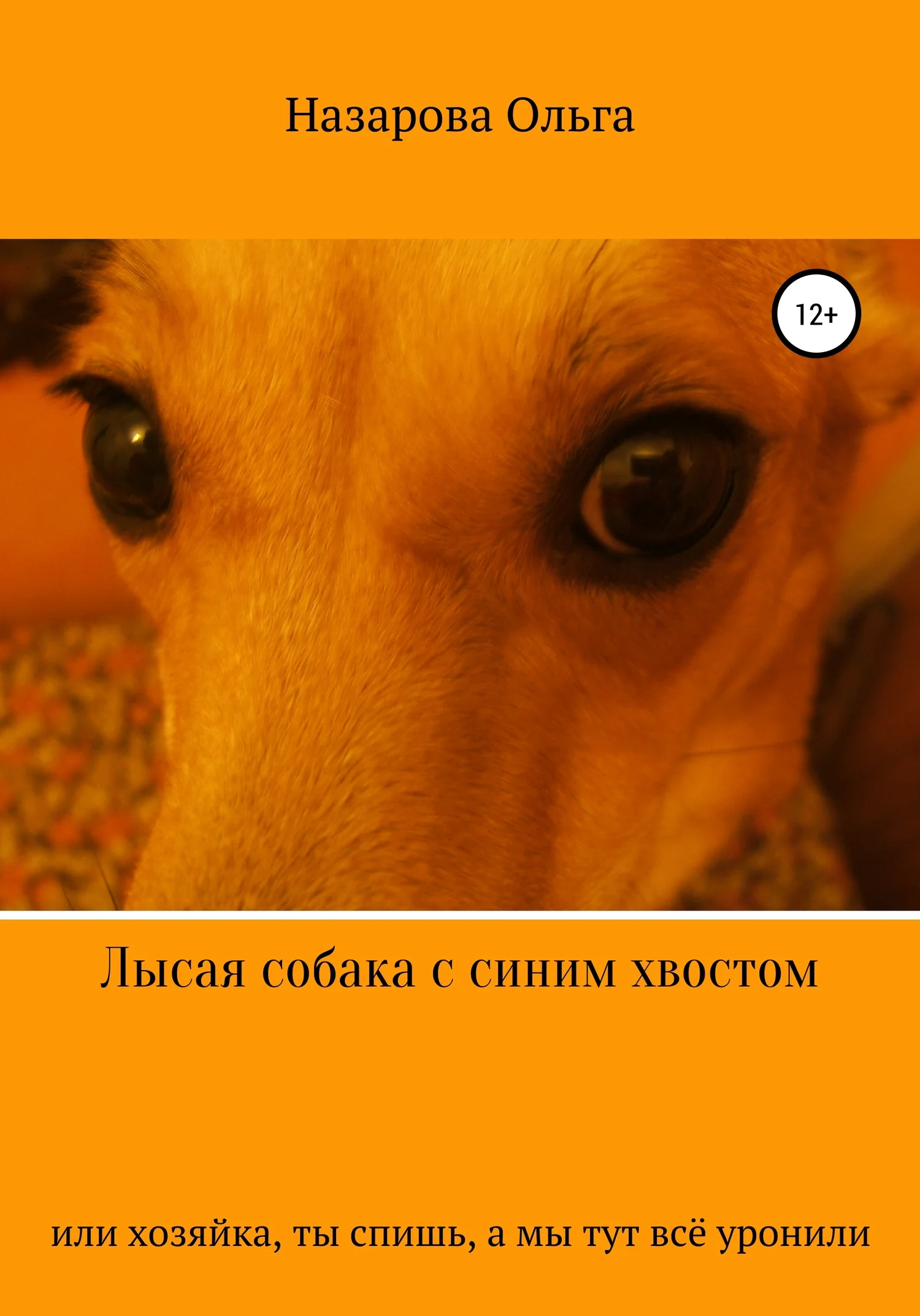 Обложка Лысая собака с синим хвостом, или, Хозяйка, ты спишь, а мы тут всё уронили!