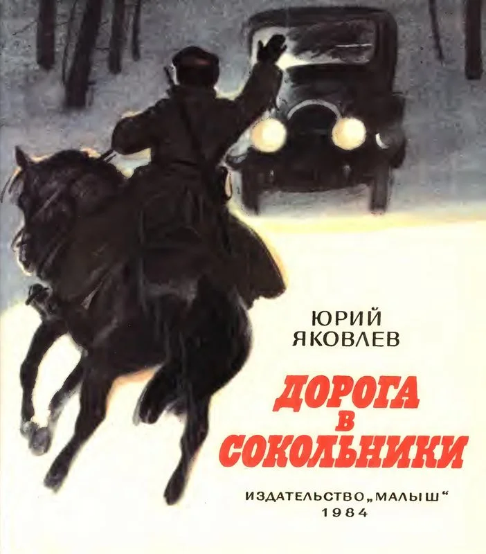 Обложка Дорога в Сокольники