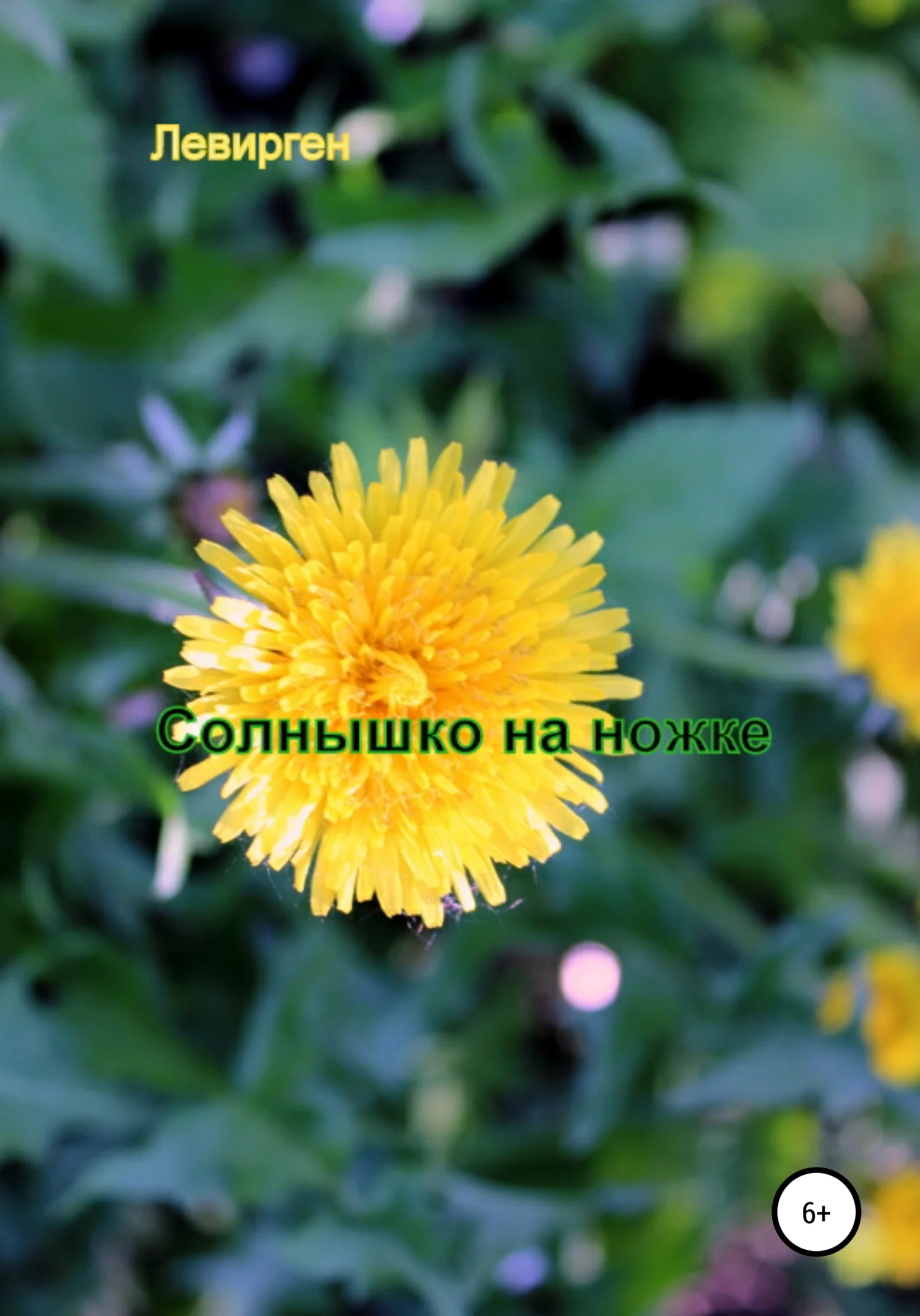 Обложка Солнышко на ножке