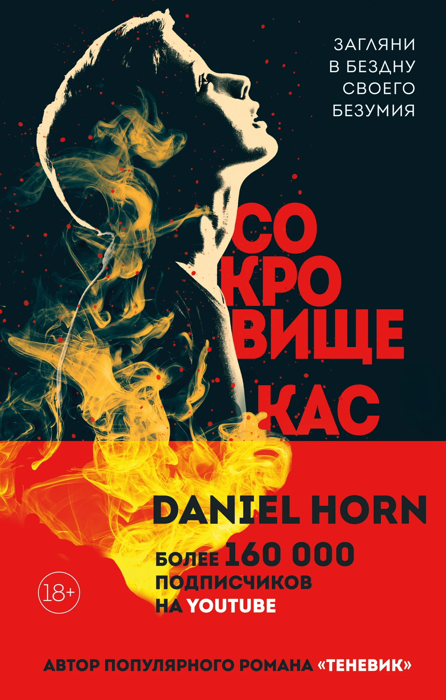 Обложка Сокровище Кастеров