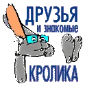 Обложка Клетчатый суслик