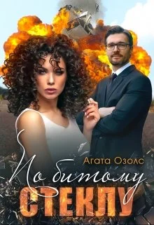 Обложка По битому стеклу