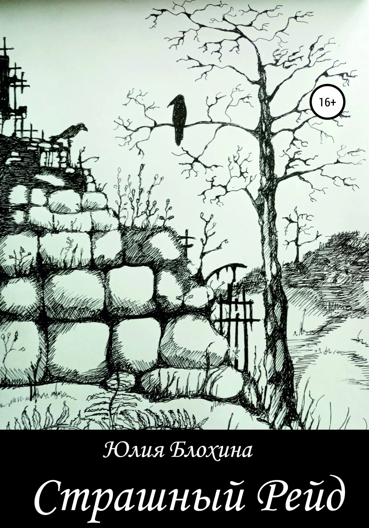 Обложка Страшный рейд