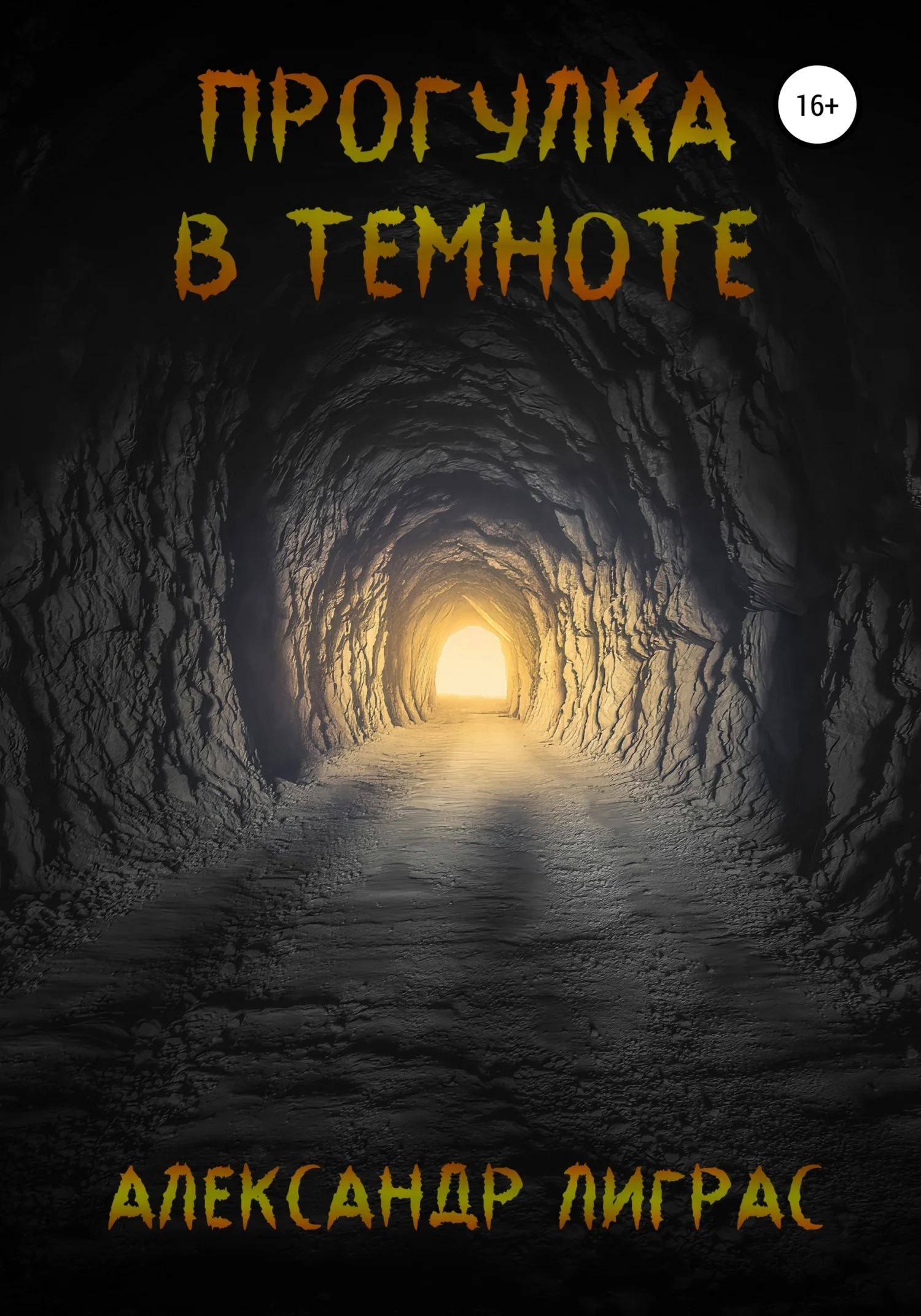 Обложка Прогулка в темноте