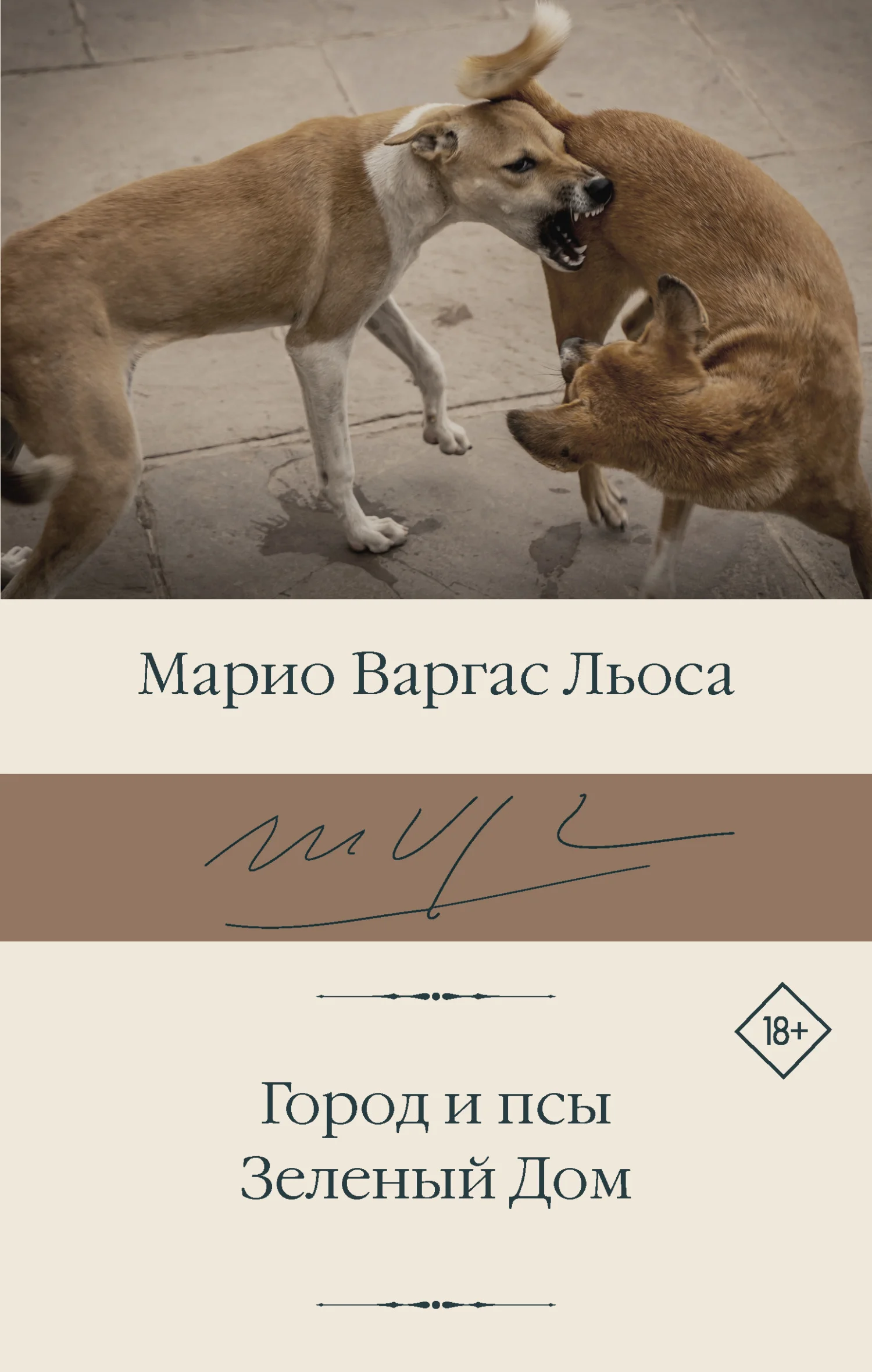 Обложка Город и псы. Зеленый Дом