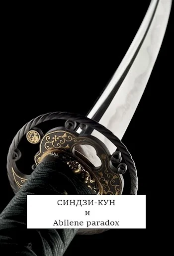 Обложка Синдзи-кун и парадокс Абилина