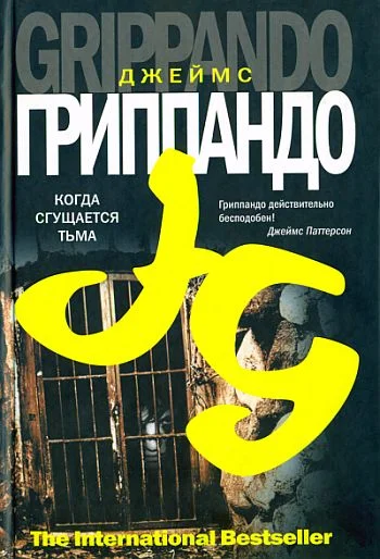 Обложка Когда сгущается тьма