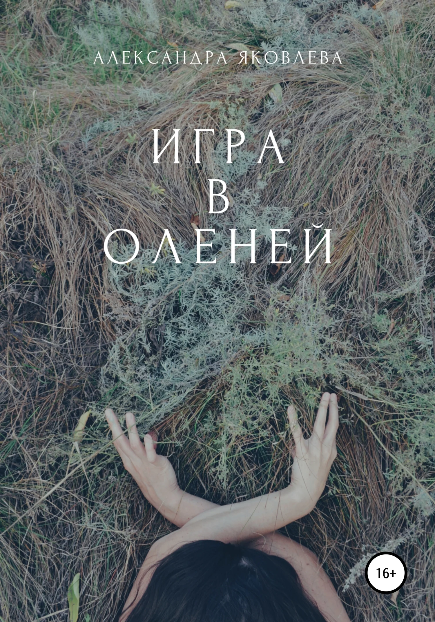 Обложка Игра в оленей