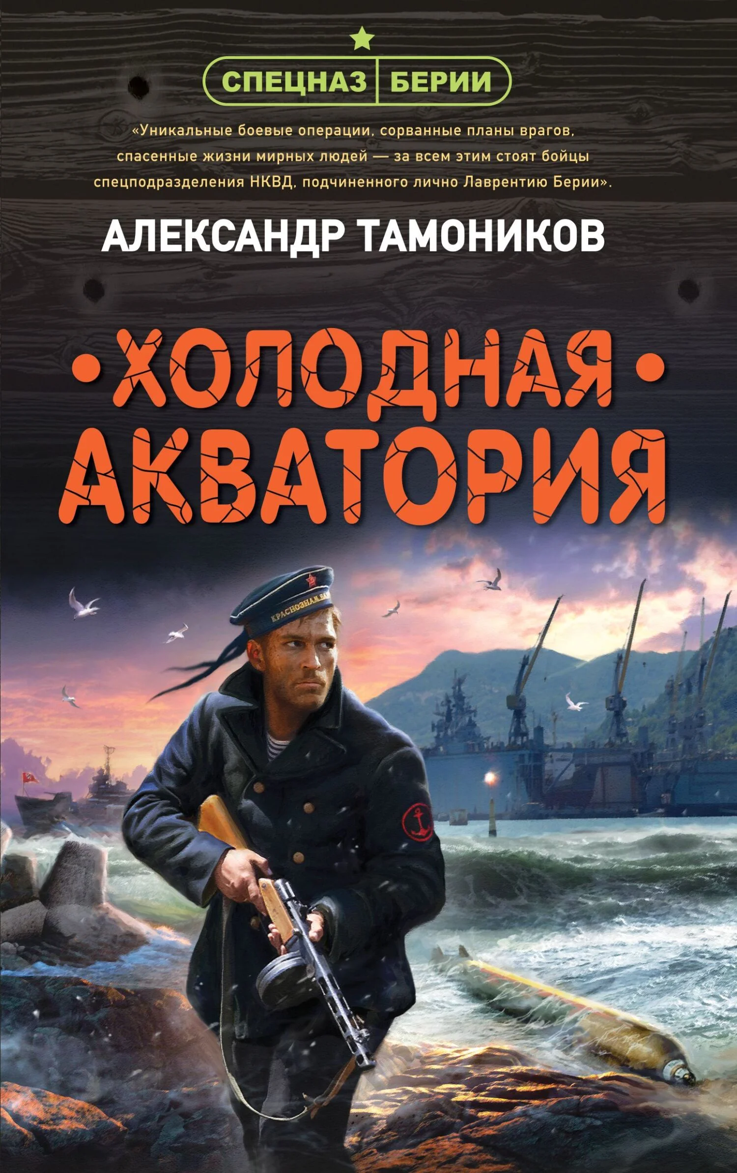 Обложка Холодная акватория