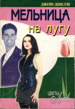 Обложка Мельница на лугу