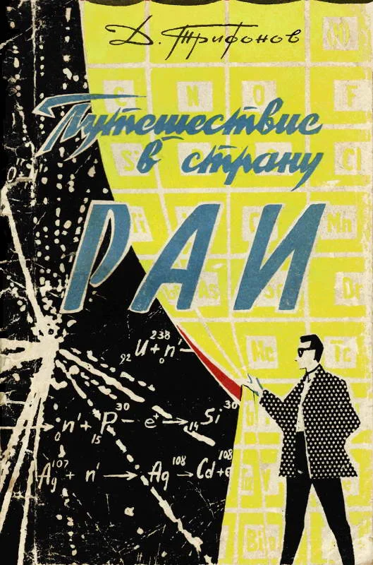Обложка Путешествие в страну РАИ