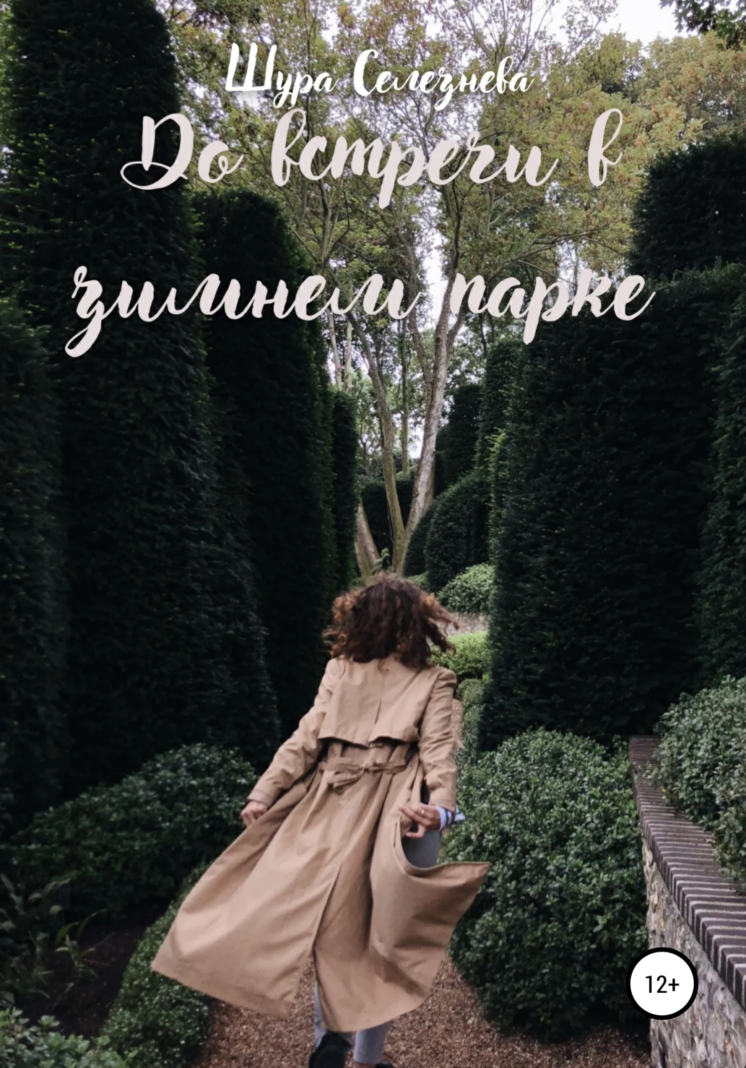 Обложка До встречи в зимнем парке