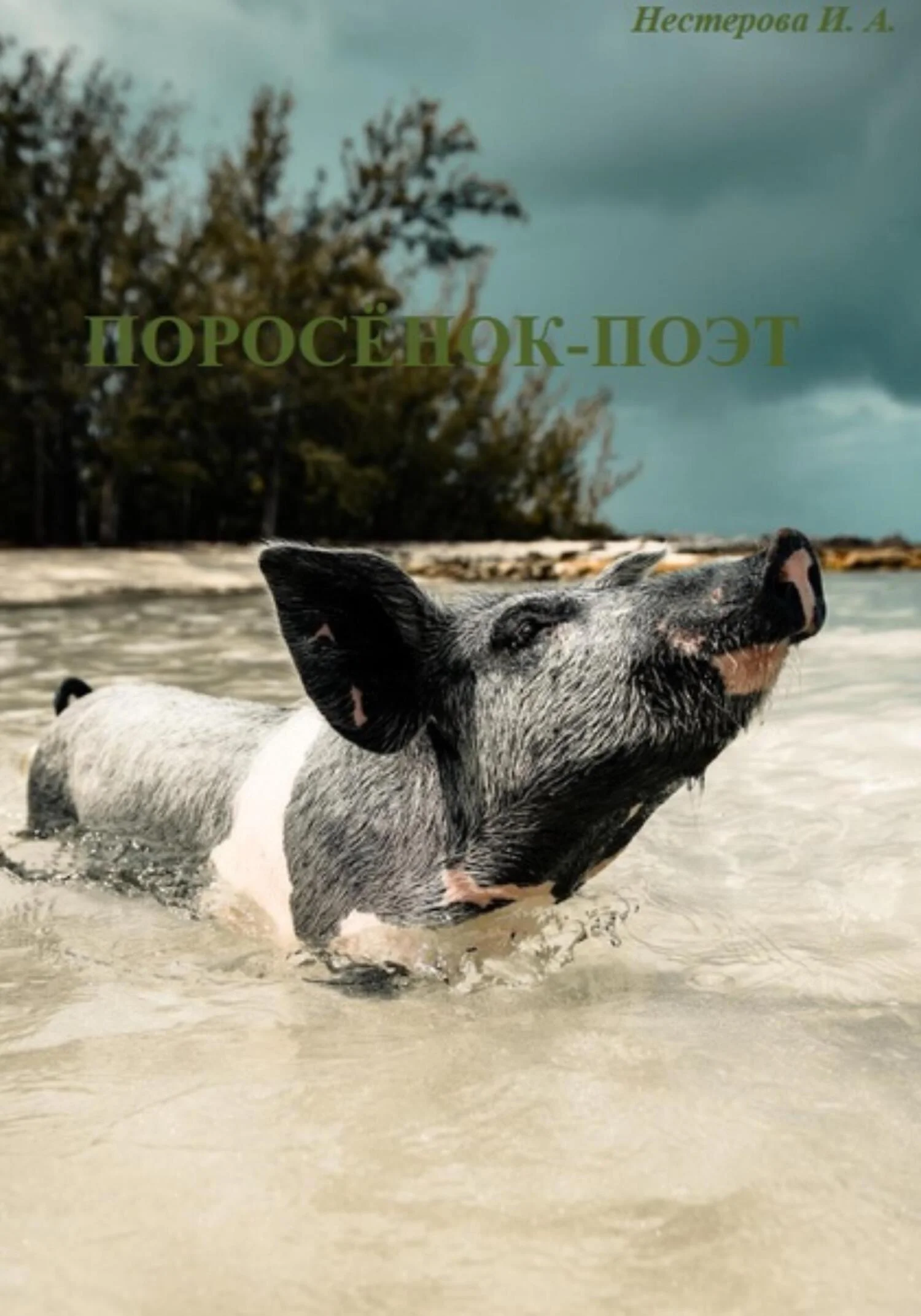 Обложка Поросёнок-поэт