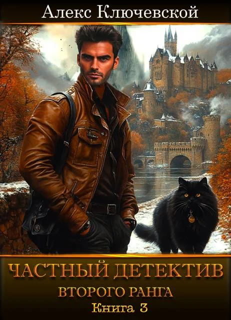 Обложка Частный детектив второго ранга. Книга 3