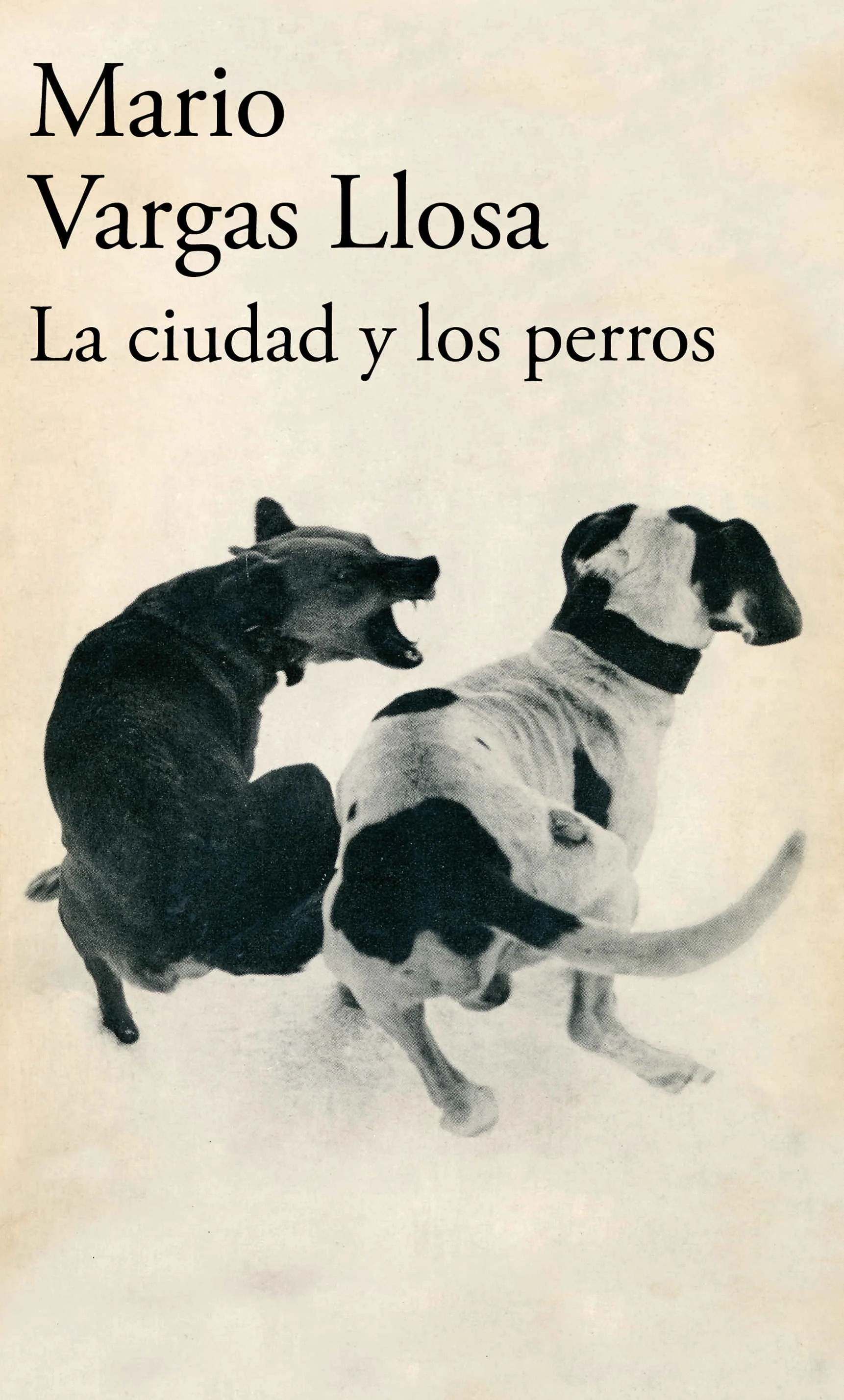 Обложка Город и псы