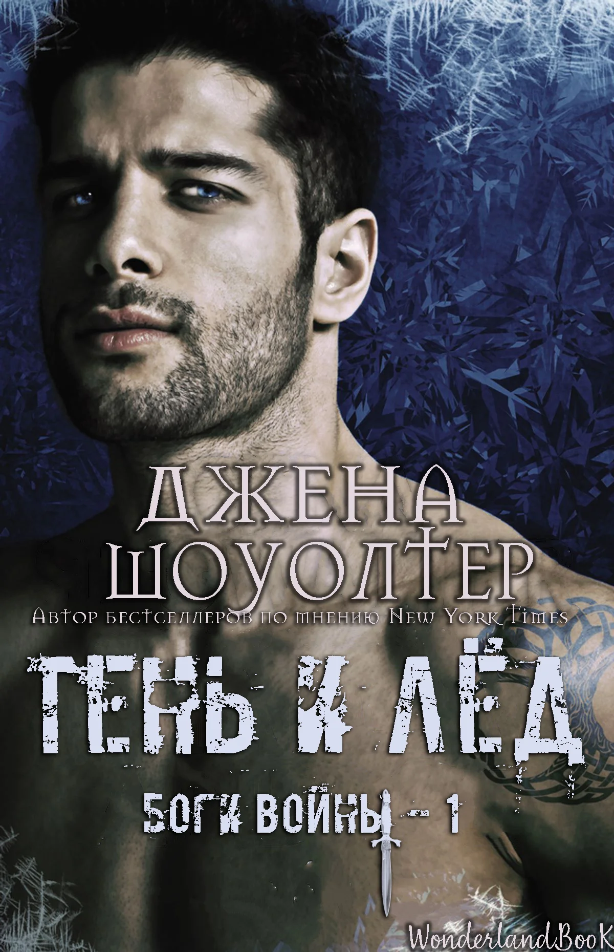 Обложка Тень и Лёд
