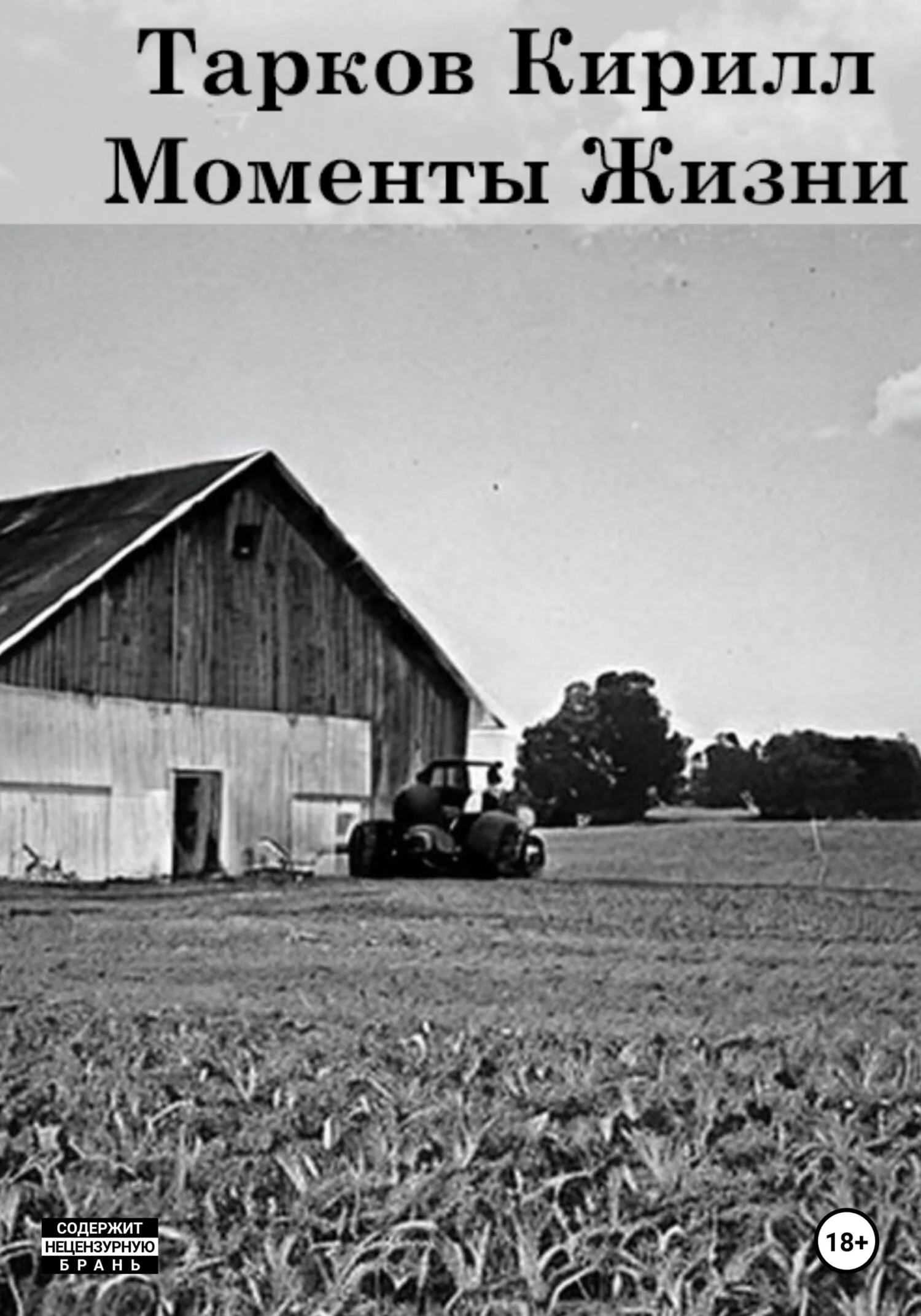 Обложка Моменты жизни