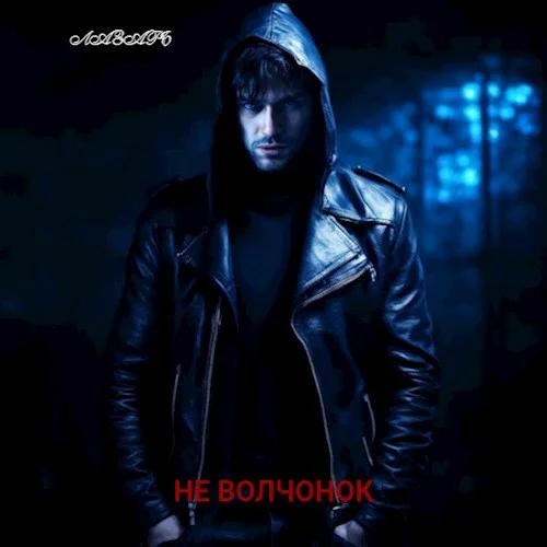 Обложка Не волчонок