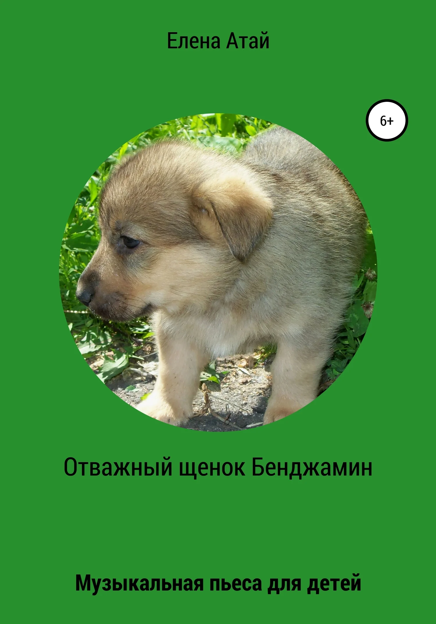 Обложка Отважный щенок Бенджамин. Музыкальная пьеса для детей