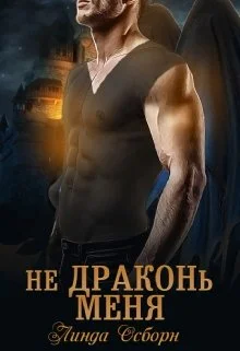 Обложка Не драконь меня